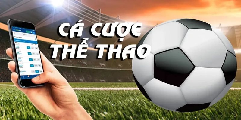 Thể thao Go được nhiều người yêu thích