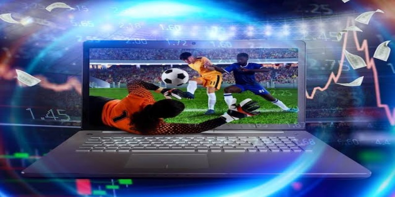 Hệ sinh thái sản phẩm cực kỳ phong phú