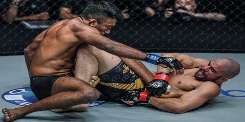Cá cược MMA và Boxing đầy bùng nổ