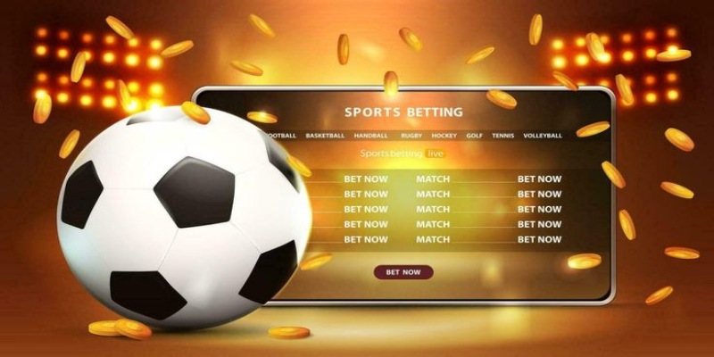 Thể thao Hit Club mang đến sức hút mới lạ